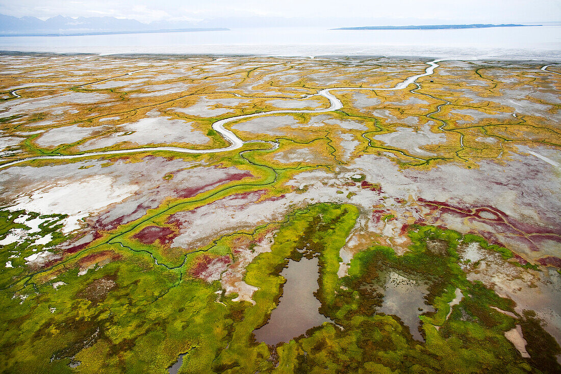 USA, Alaska, wetlands bordering the Gulf of Alaska