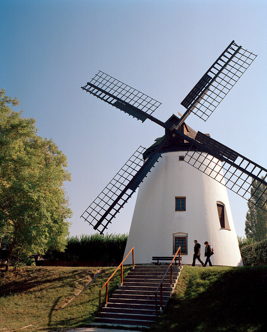 AUSTRIA, Podersdorf, windmill in the town of Podersdorf, Burgenland