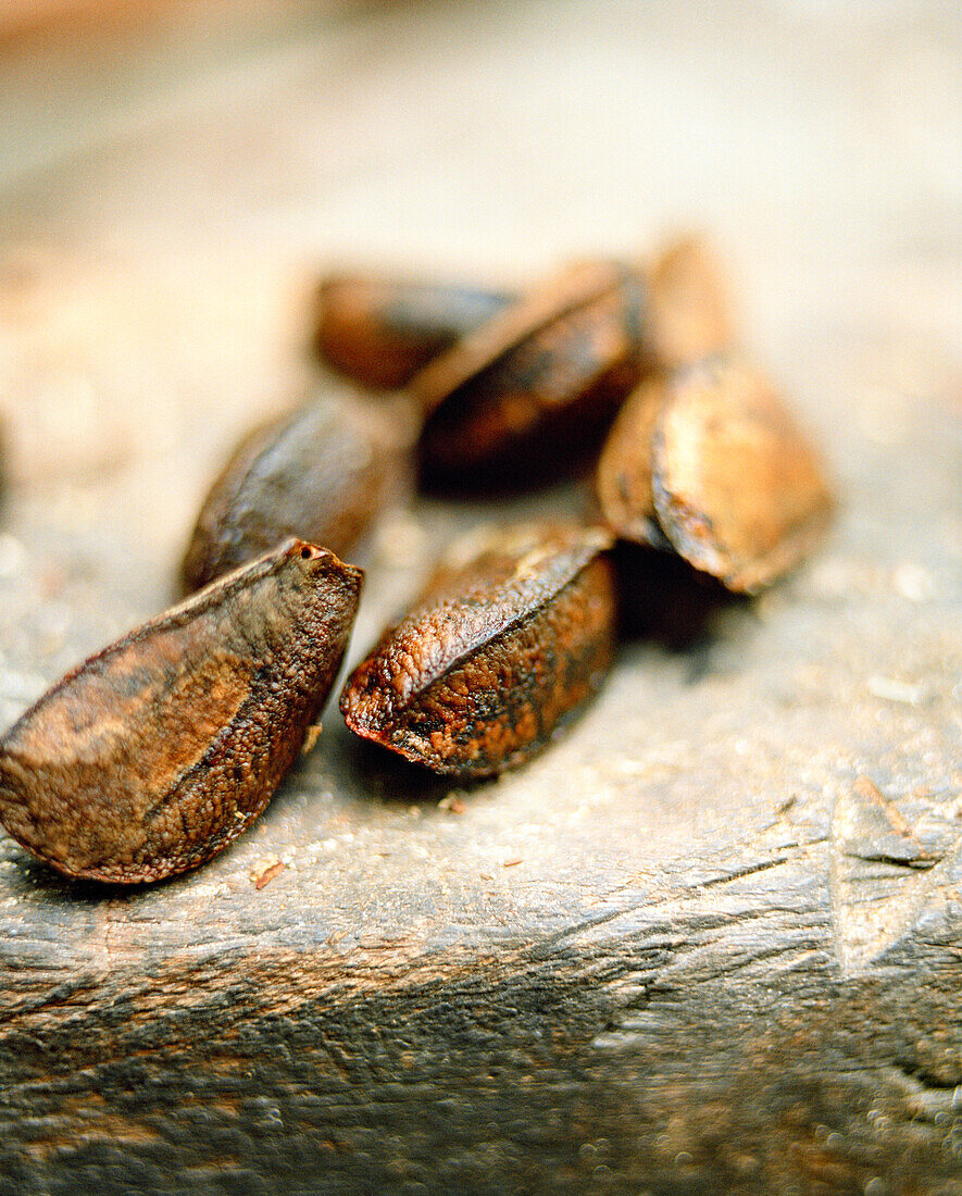 BRAZIL, Belem, South America, brazil nuts, close-up