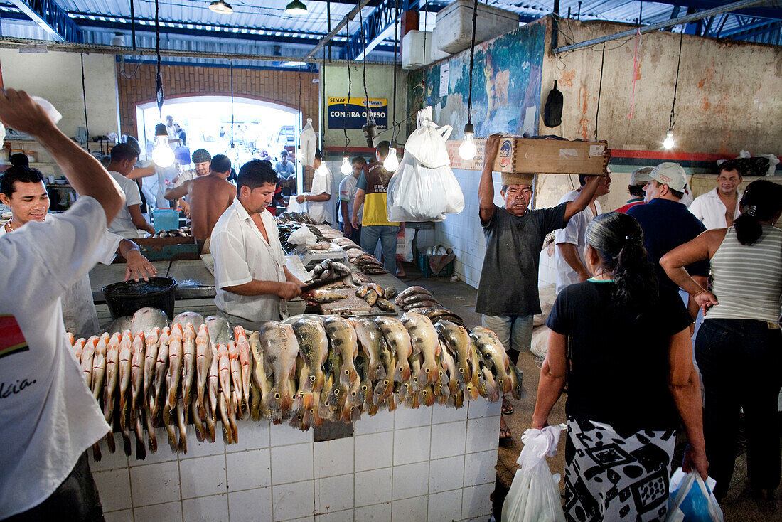 BRAZIL, Manaus Fish market, buying and selling fish