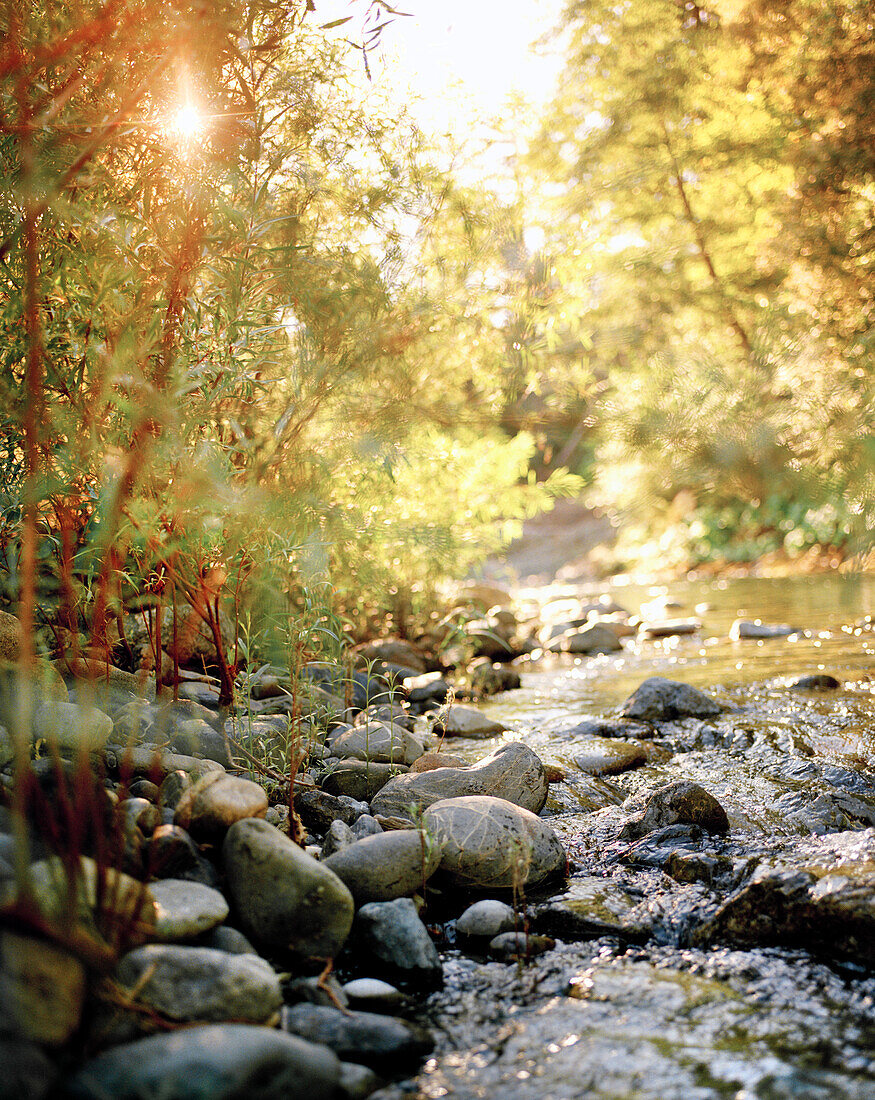 USA, California, Salmon River flowing over rocks, Forks of Salmon