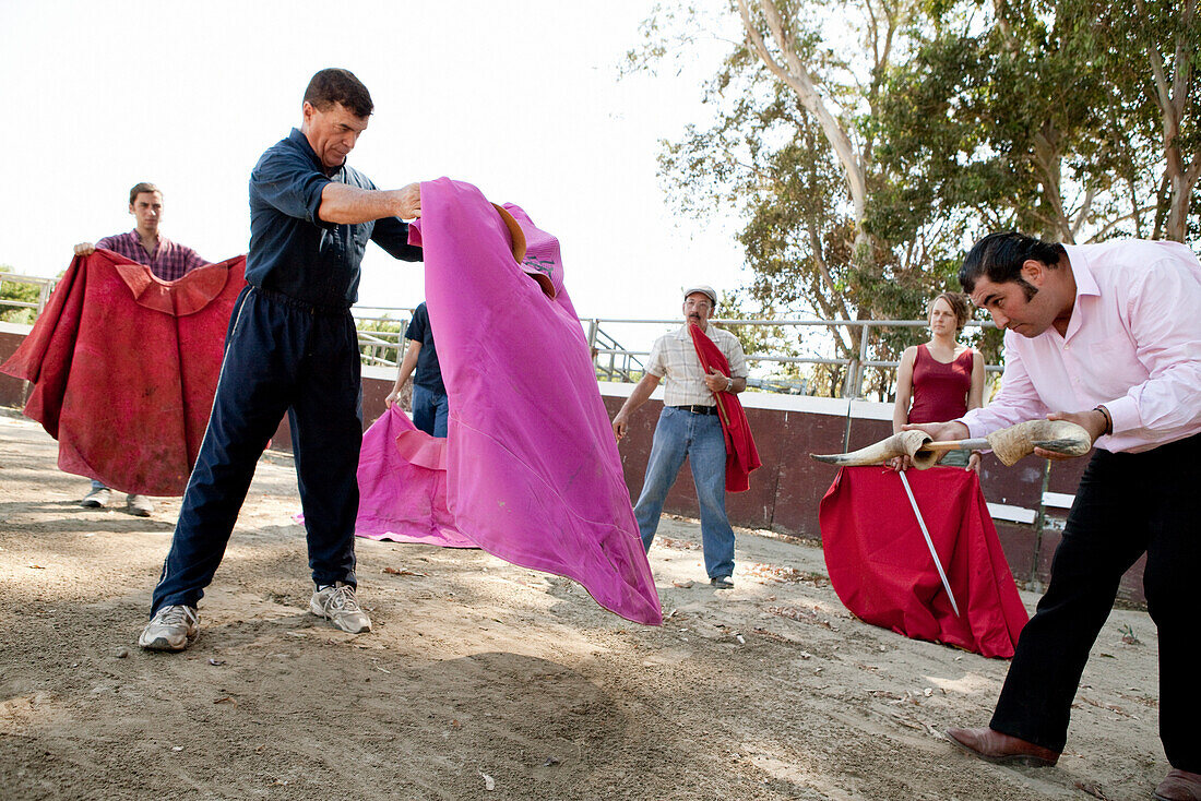 USA, California, Escalon, Dennis Borba teaches his students the art of fighting a bull