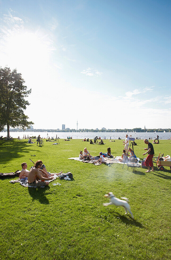 Barbeque on the Schwanenwik lawn, Alsterpark, east bank of the Outer Alster Lake, Aussenalster, Hamburg, Germany