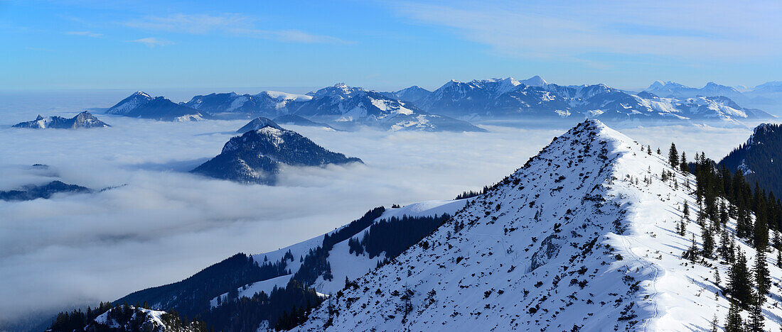 Panorama vom Großer Traithen mit Blick auf Chiemgauer Alpen, Großer Traithen, Mangfallgebirge, Bayerische Alpen, Oberbayern, Bayern, Deutschland