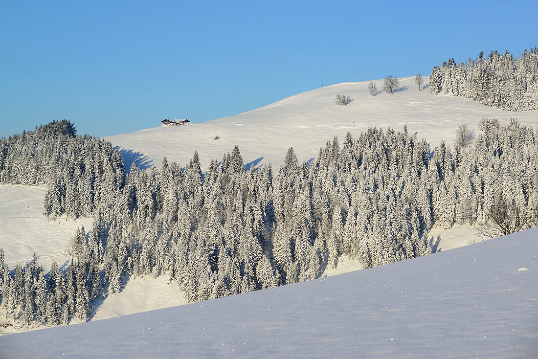 Verschneite Almlandschaft am Brennkopf, Brennkopf, Chiemgauer Alpen, Tirol, Österreich