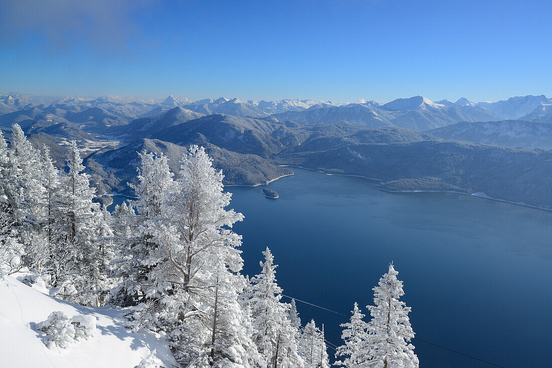 View to lake Walchensee, Bavarian Alps, Rofan range and Karwendel range, from Herzogstand, Bavarian Alps, Upper Bavaria, Bavaria, Germany