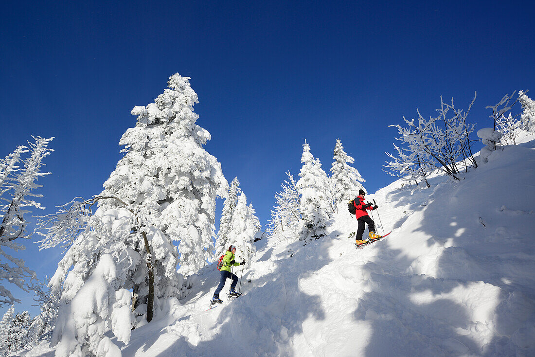 Two backcountry skiier ascending to Spitzstein, Chiemgau Alps, Tyroll, Austria