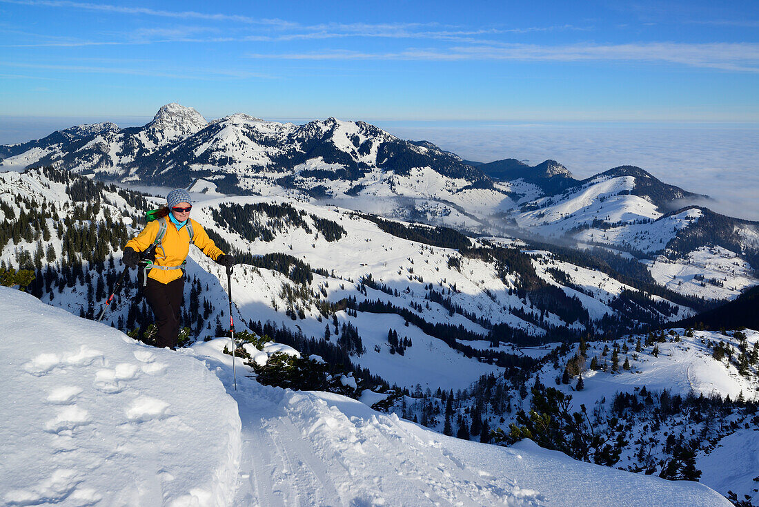 Frau auf Skitour steigt zu Großer Traithen auf, Wendelstein im Hintergrund, Mangfallgebirge, Bayerische Alpen, Oberbayern, Bayern, Deutschland