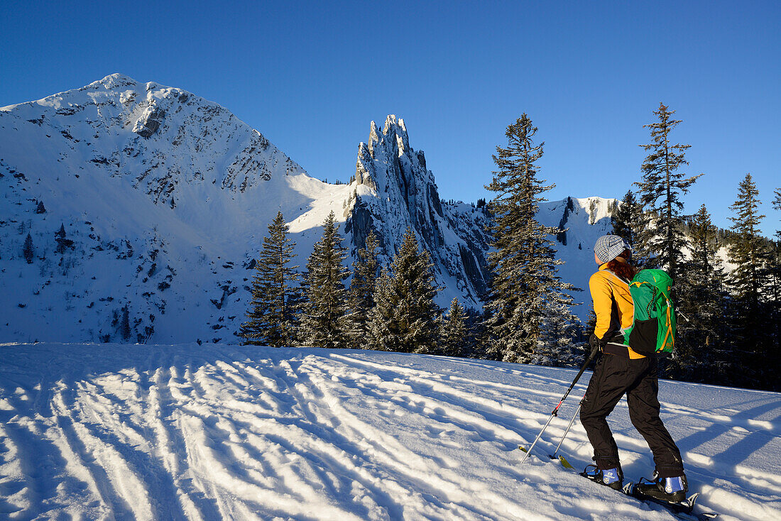 Frau auf Skitour steigt zu Risserkogel und Blankenstein auf, Bayerische Alpen, Oberbayern, Bayern, Deutschland