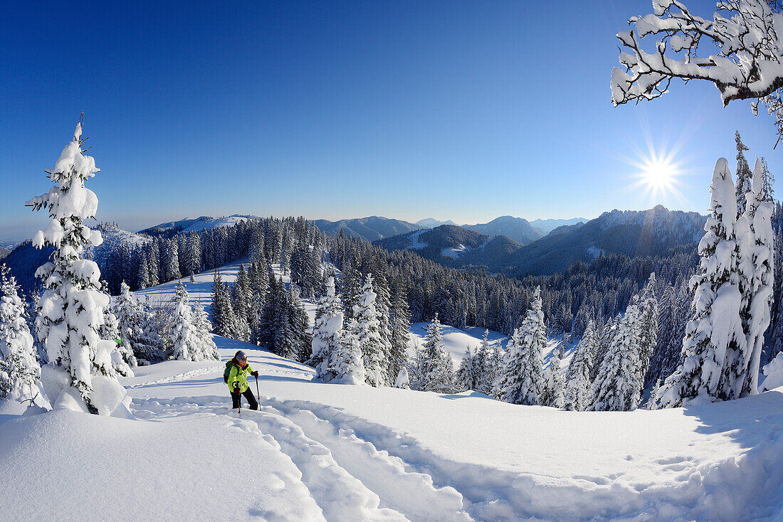 Frau auf Skitour steigt zum Teufelstättkopf auf, Ammergauer Alpen, Oberbayern, Bayern, Deutschland