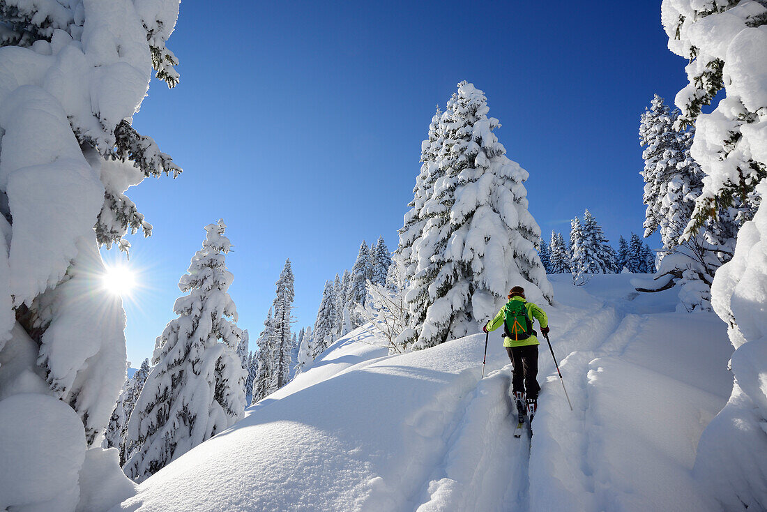 Frau auf Skitour steigt zum Teufelstättkopf auf, Ammergauer Alpen, Oberbayern, Bayern, Deutschland