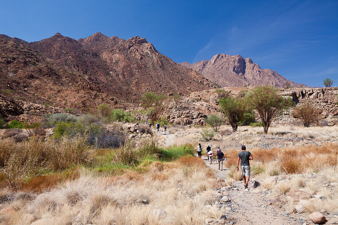 Touristen besuchen Tsisab Schlucht, Brandberg, Erongo, Namibia