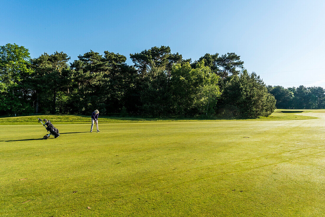 Golfer on the fairway, Winsen, Schleswig-Holstein, Germany