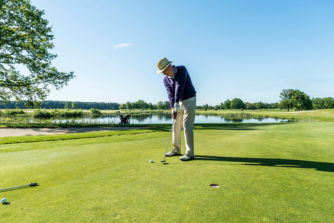 Golfspieler beim Putten auf dem Grün, Schleswig-Holstein, Deutschland