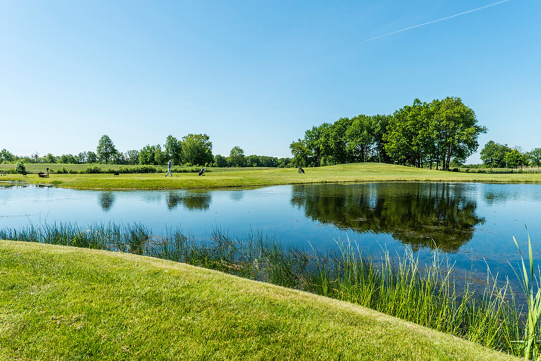 Golfer teeing off,Schleswig-Holstein,Germany