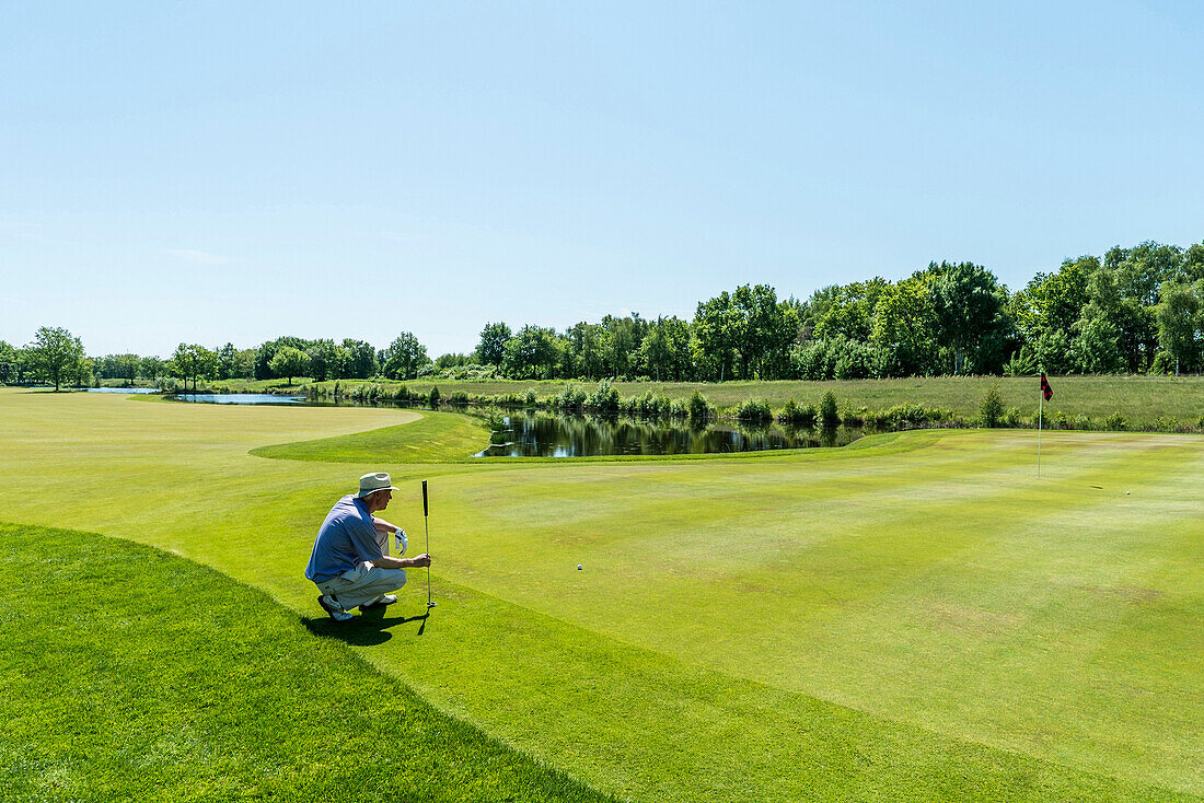 Golfspieler beim Putten auf dem Grün, Winsen, Schleswig-Holstein, Deutschland