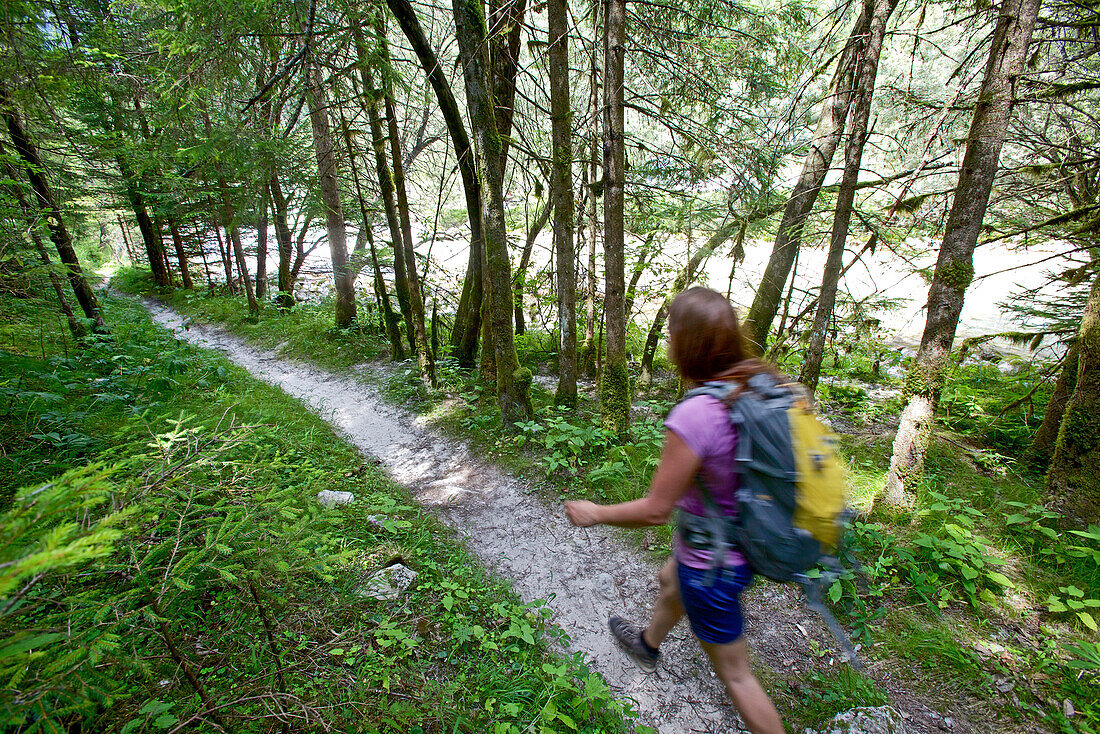 Wanderin läuft durch einen Wald, Alpe-Adria-Trail, Nockberge, Kärnten, Österreich