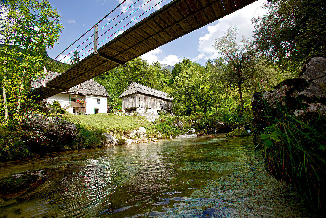Swing bridge over a river, Alpe-Adria-Trail, Trenta,  Slovenia
