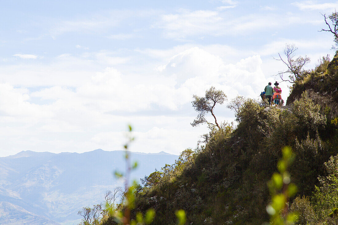 Drovers leading pack animals out of the Ishinca Valley, Pashpa, Huaraz, Ancash, Cordillera Blanca, Peru