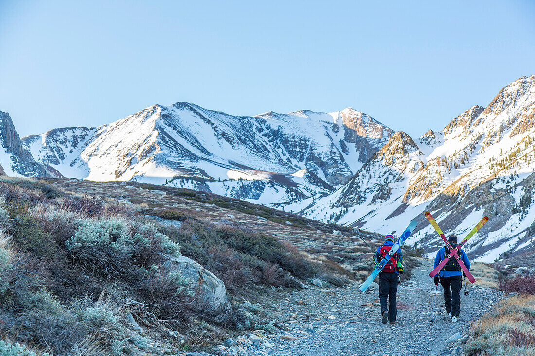 Two skiers carrying their skis on the back, Mammoth Lakes, California, USA