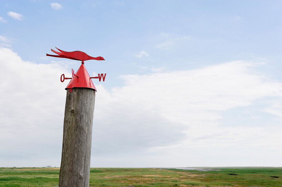 Weather vane near Sankt Peter-Ording, Eiderstedt Peninsula, Schleswig-Holstein, Germany