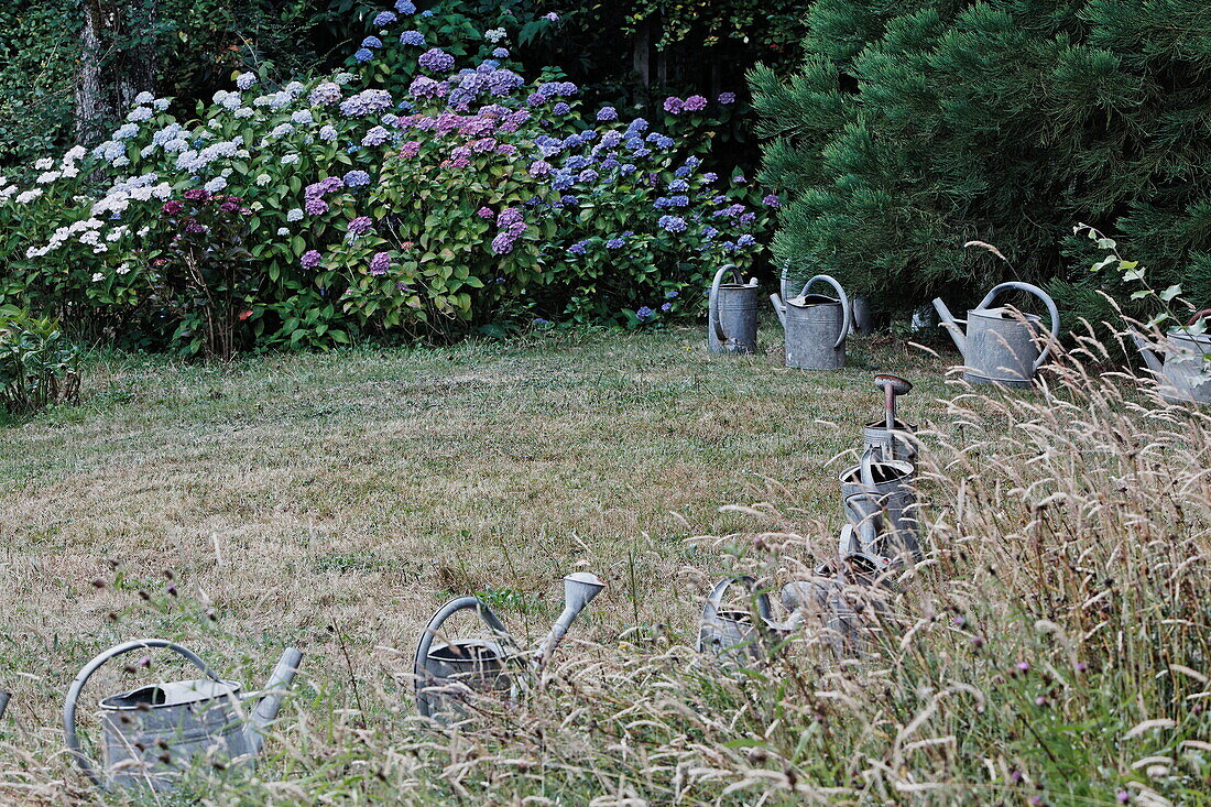 Giesskannen in den Jardins du Clos Saint-Francois, Saint-Victor-d'Epine, Eure, Normandie, Frankreich