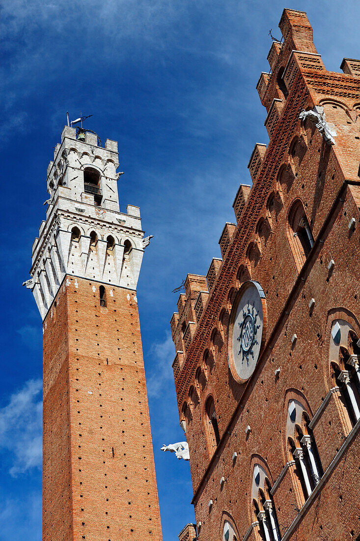 Tower of the city hall, Torre del Mangia and Palazzo Pubblico, Siena, Tuscany, Italy