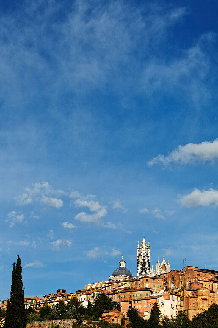 Cityscape with cathedral, Cattedrale di Santa Maria Assunta, Siena, Tuscany, Italy