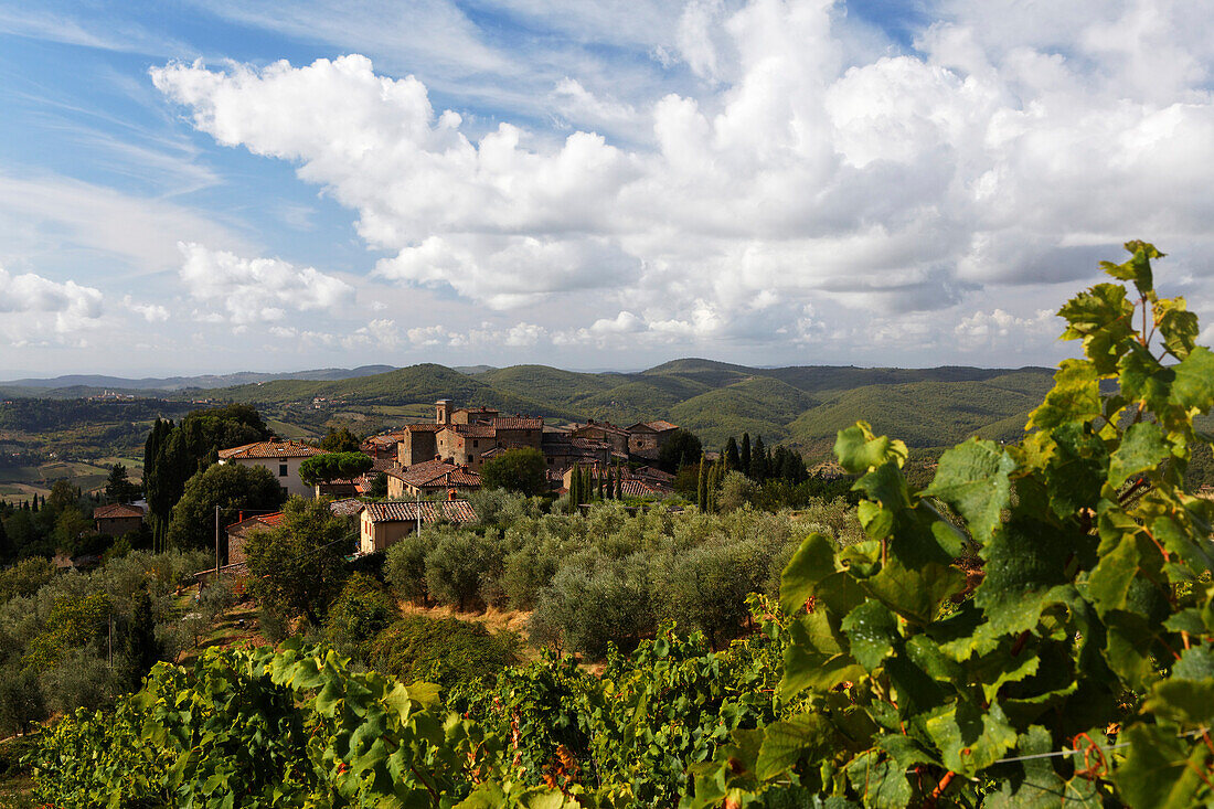 Volpaia is a small wine making village in the Chianti Classico area, Tuscany, Italy