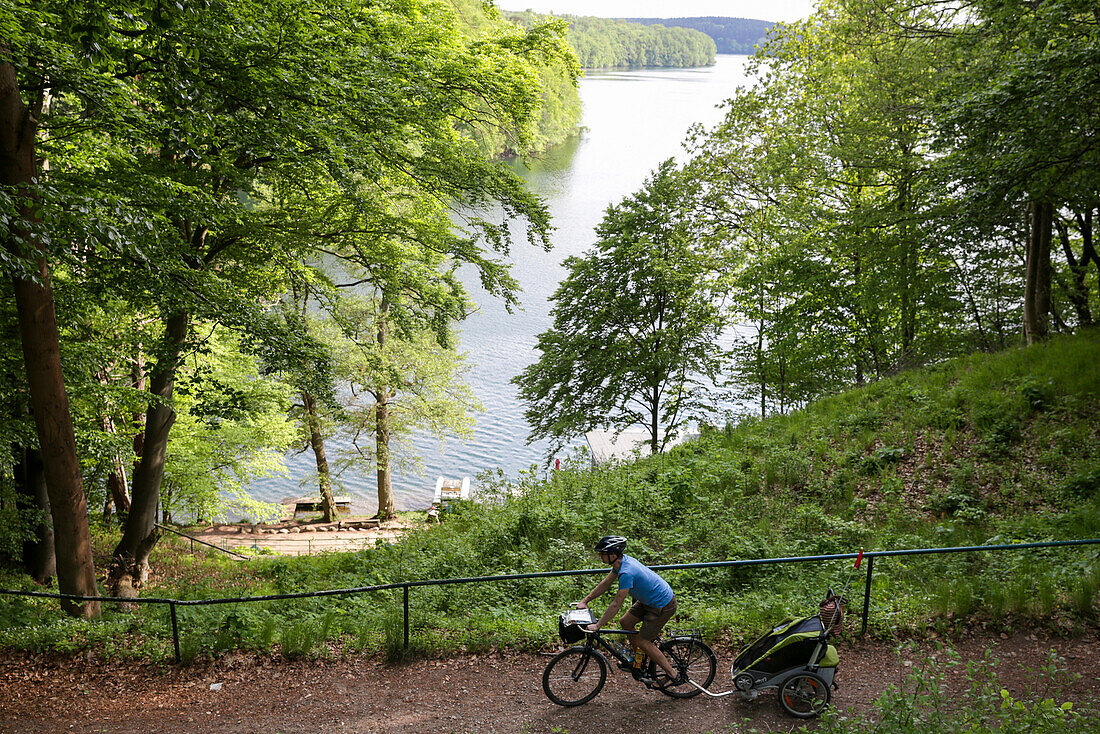Cyclist passing lake Schmaler Luzin, Feldberger Seenlandschaft, Mecklenburg-Western Pomerania, Germany