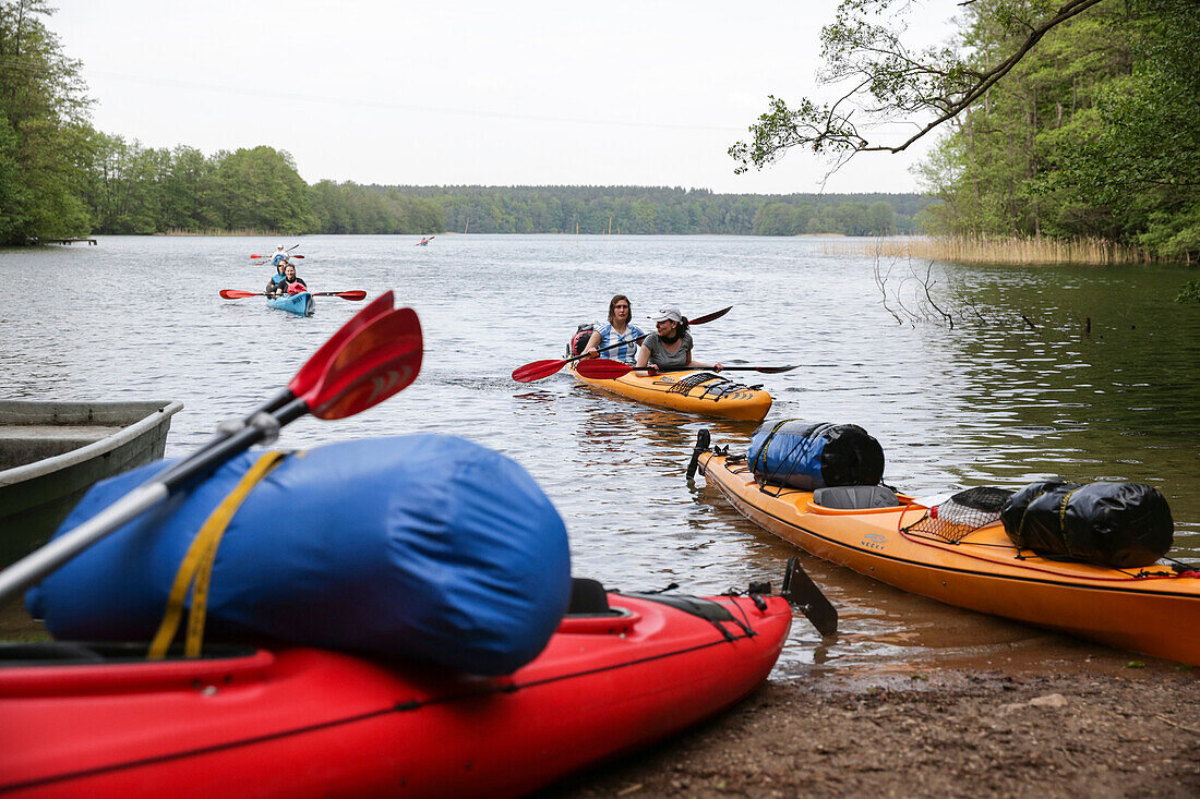 Canoeing on lake Krueselinsee, Feldberger Seenlandschaft, Mecklenburg-Western Pomerania, Germany