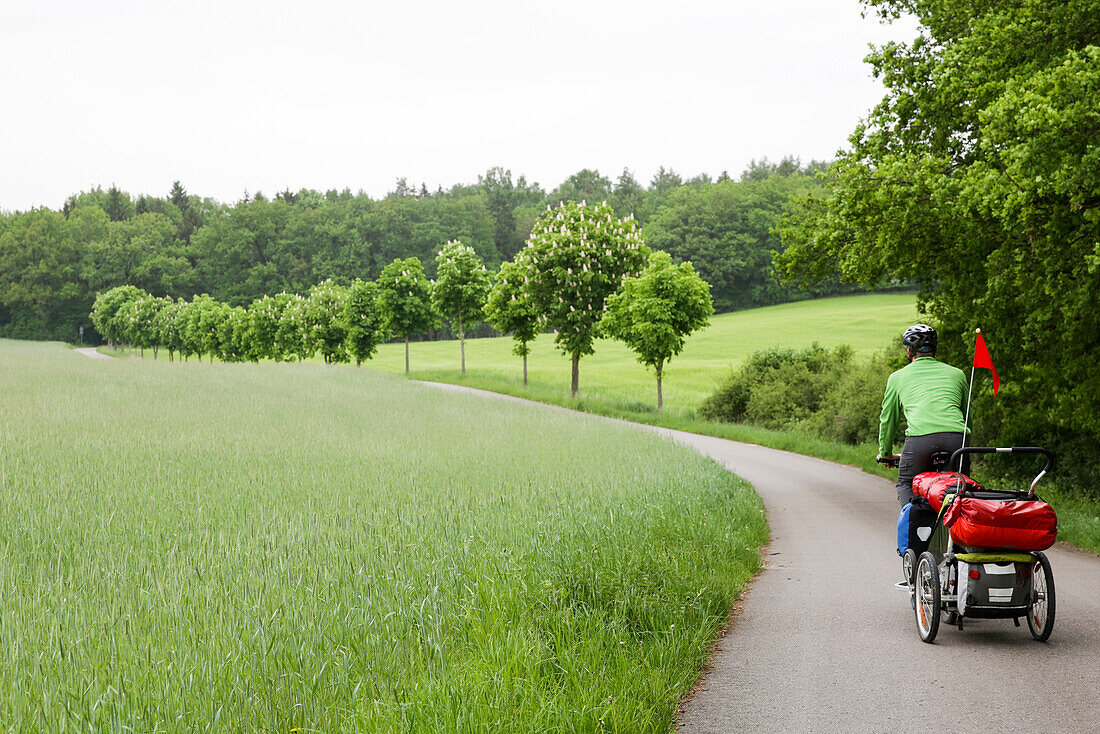 Cyclist with child transporter riding along a road, nera lake Tollensesee, Mecklenburg-Western Pomerania, Germany