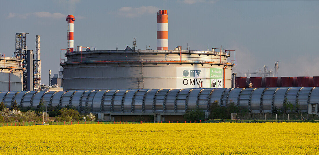 OMV Schwechat, Raffinerie, Rapsfeld, Schwechat, Niederösterreich, Österreich