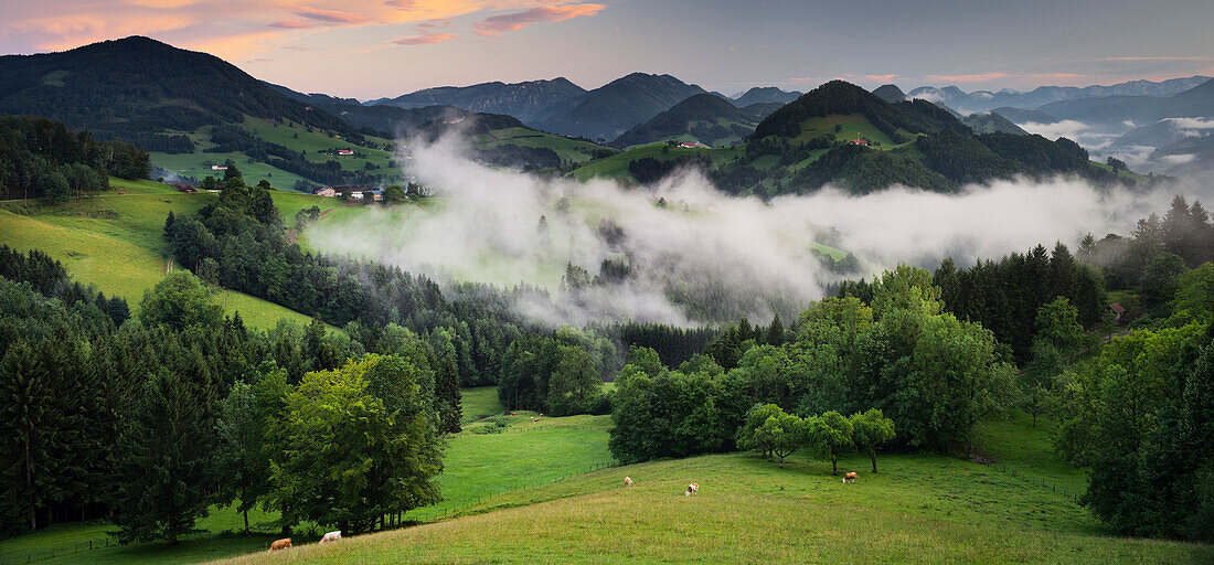 View to the Alps near Maria Neustift, Bertelkogel, Upper Austria, Austria