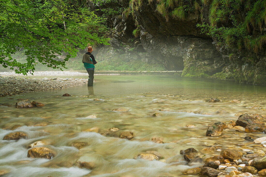 Fisherman fishing in a river, Krumme Steyrling, Kalkalpen National Park, Upper Austria, Austria