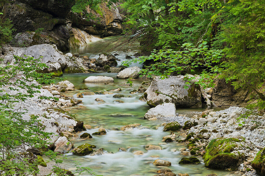 Strubklamm gorge, Faistenau, Salzburg, Austria