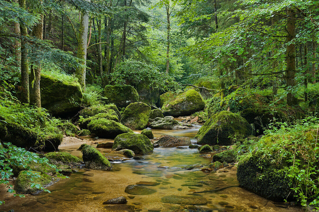 Gießenbach, Stillensteinklamm, Grein an der Donau, Oberösterreich, Österreich