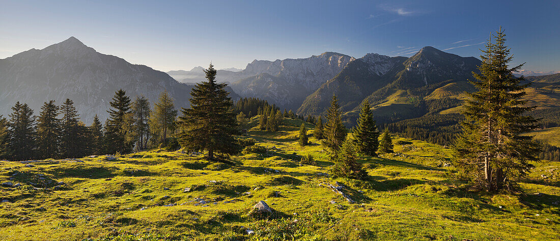 Blick von Thorhöhe auf Gamsfeld (2027m), Postalm, Salzburg Land, Österreich