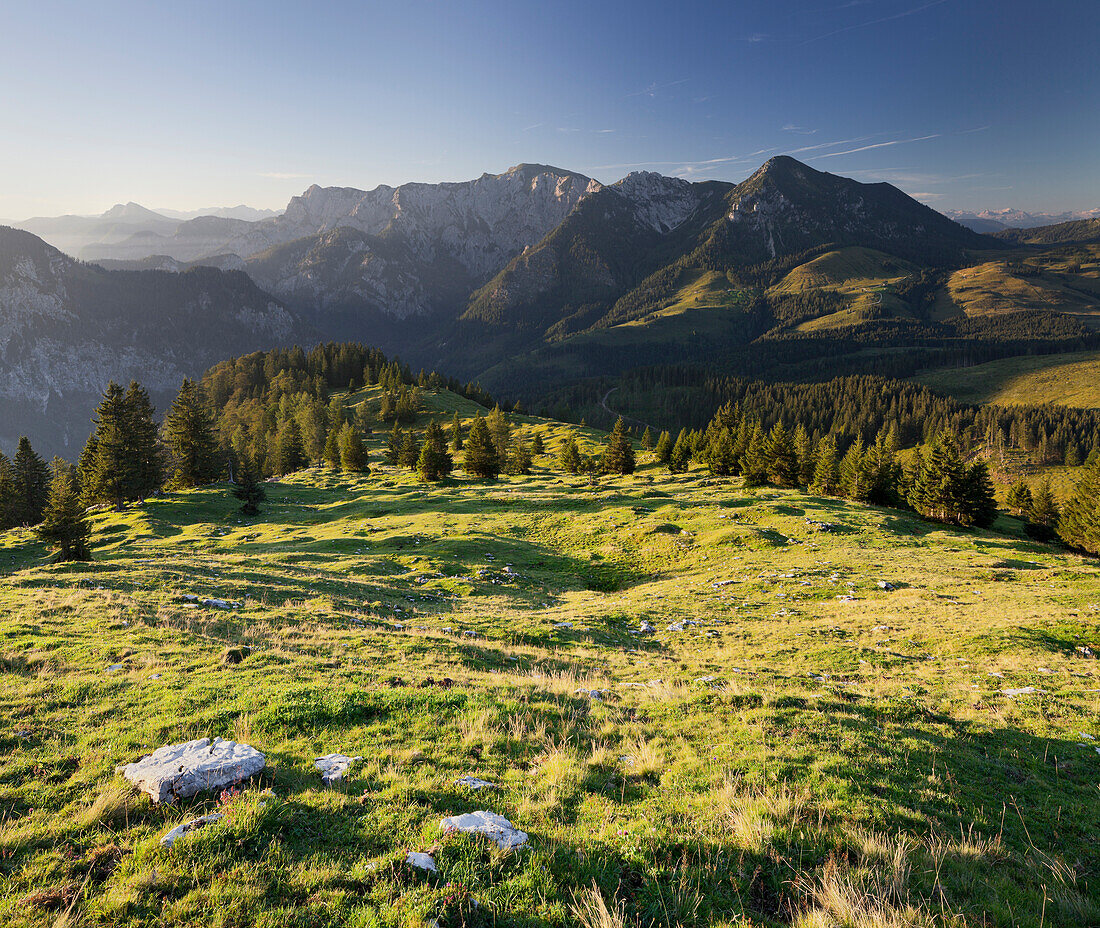 Blick von Thorhöhe auf Gamsfeld (2027m), Postalm, Salzburg Land, Österreich