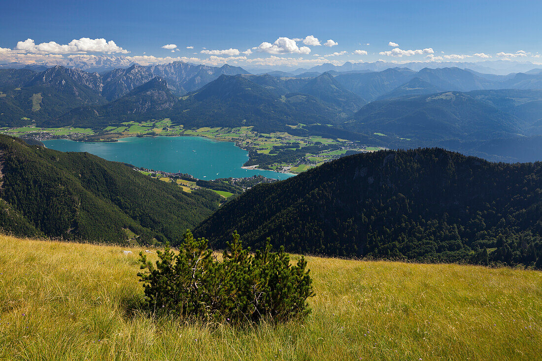 Blick vom Schafberg auf den Wolfgangsee, Dachstein, Salzkammergut, Salzburg Land, Österreich