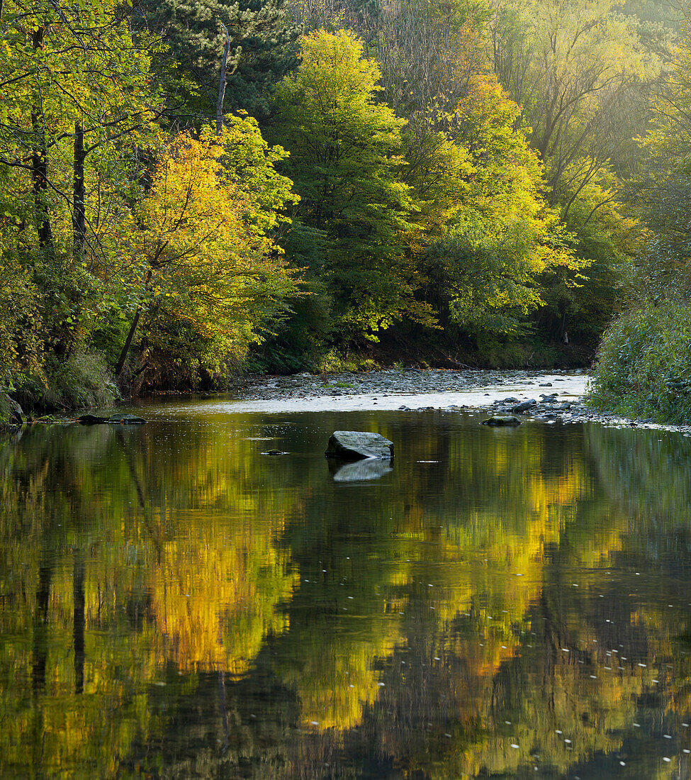 River Schwechat, Helental, Baden near Wien, Lower Austria, Austria