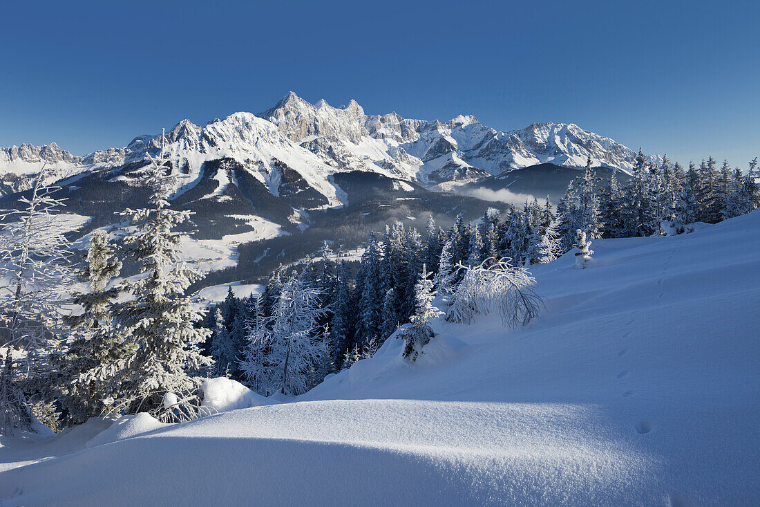 Blick vom Rossbrand auf Hoher Dachstein, Filzmoos, Salzburg Land, Österreich