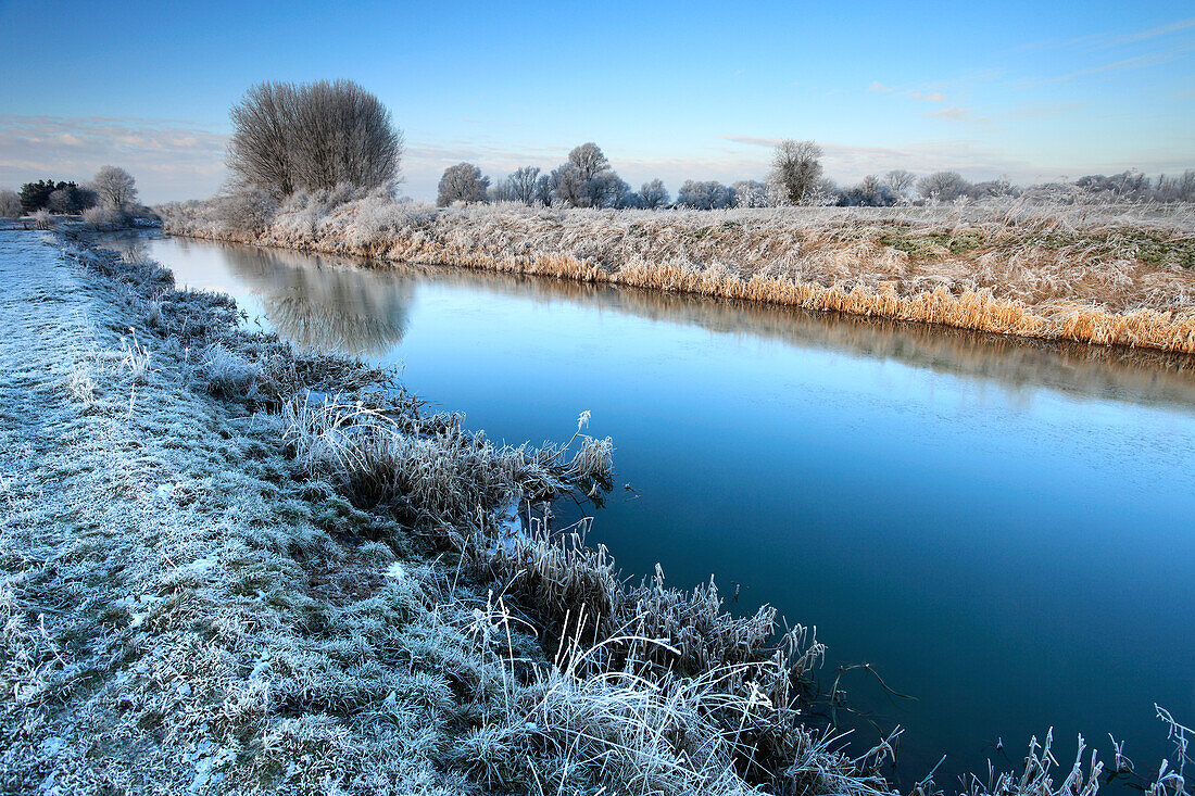 Hoare frost winter scene, river Welland, Peakirk village, Cambridgeshire, England, Britain, UK