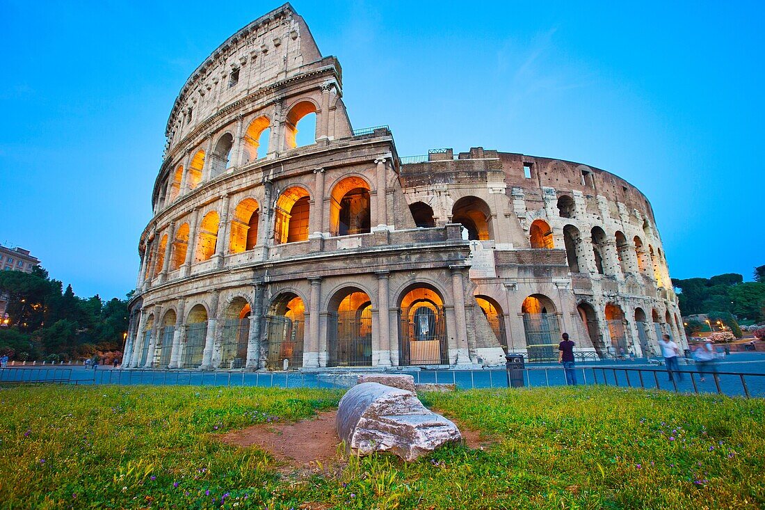 Colisseum  Rome  Lacio  Italy