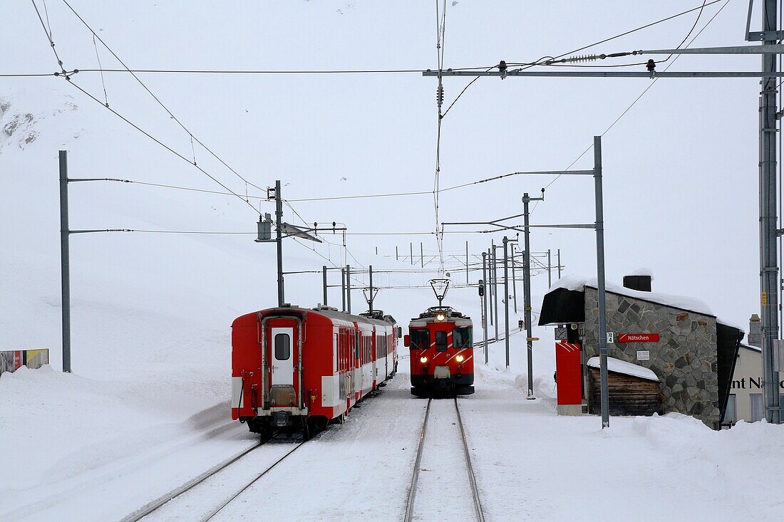 Switzerland, The Graubunden canton, the glacier express train, mountain rack train from Saint-Moritz to Zermatt