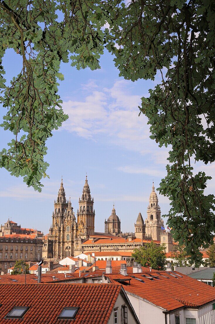 Kathedrale vom Alameda-Park aus, Santiago de Compostela, Provinz A Coruña, Galicien, Spanien.