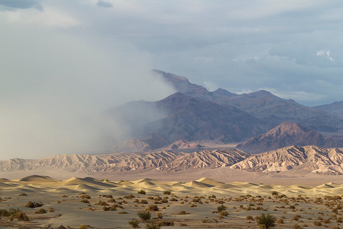 Mesquite Flat Sand Dunes and Grapevine Mountains which are part of the Amargosa Range in the Death Valley  In the background a passing by storm raises lots of sand  Death Valley National Park, California, USA