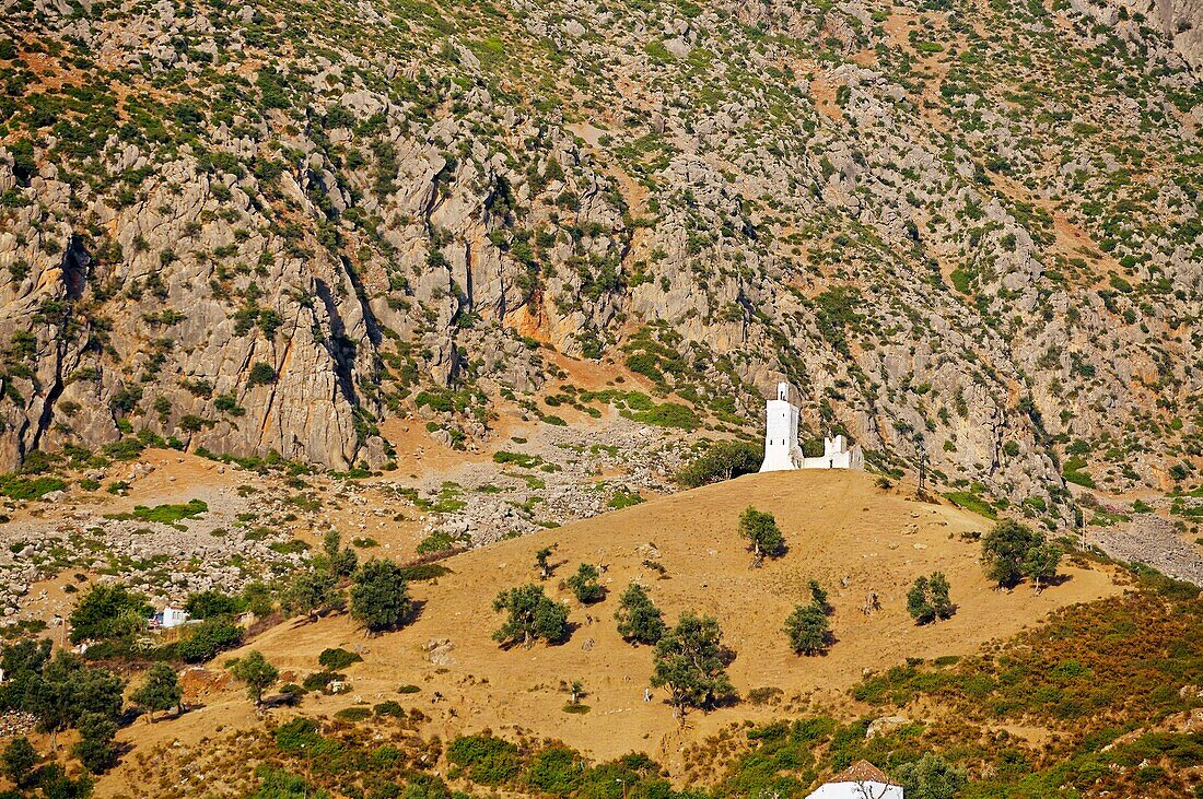 Mosque, Chefchaouen  Rif region, Morocco.