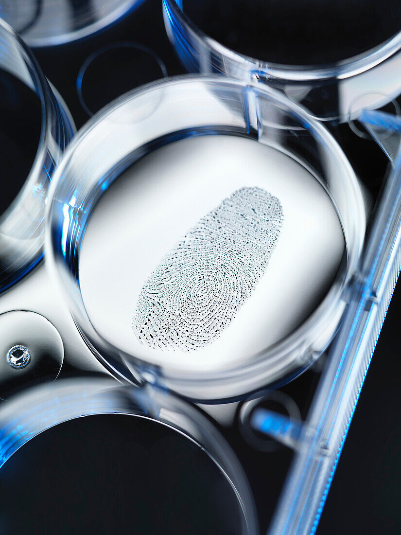 Close up of finger print in forensic lab. Finger print in specimen well illustrating genetics and forensics testing. Experiment,DNA, finger print,human, human genome,pharmaceutical research,biochemistry,identity,healthcare, human evidence,life science,adv