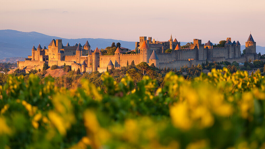 Sonnenuntergang über der Festungsstadt Carcassonne auf einem Hügel über der Aude in Südfrankreich, Languedoc-Roussillon, Frankreich
